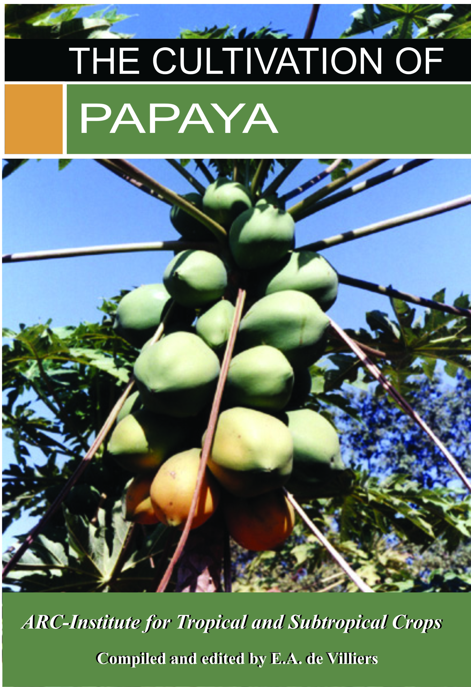 The Cultivation Of Papaya 